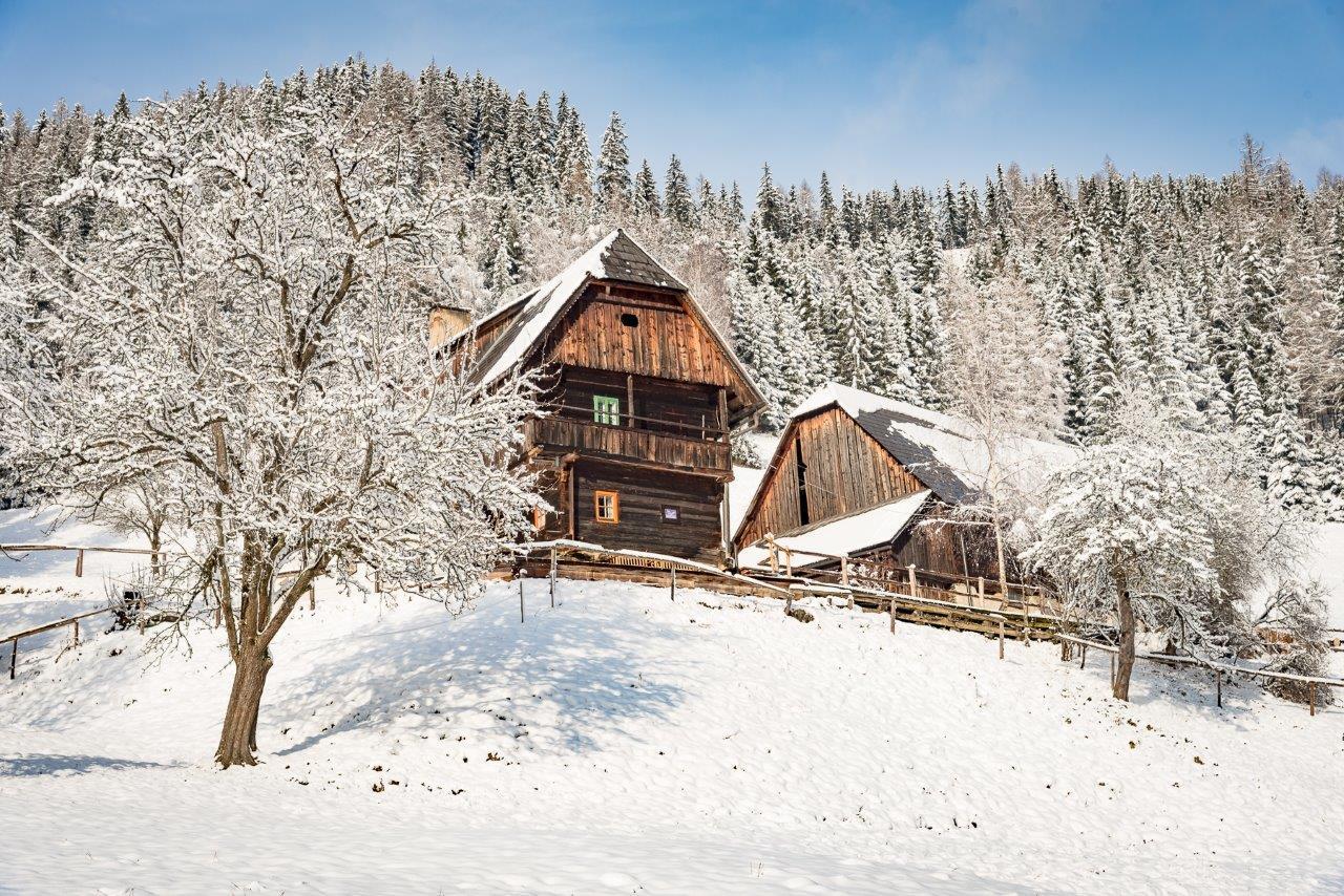 Urlaub Auf Der Alm "Deluxe" Vila Preggraben Exterior foto