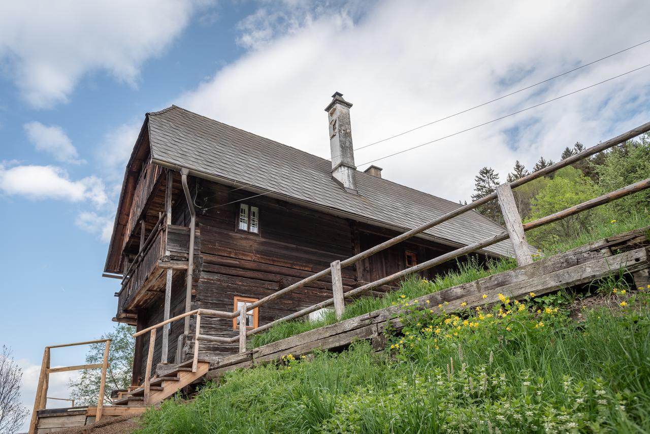 Urlaub Auf Der Alm "Deluxe" Vila Preggraben Exterior foto