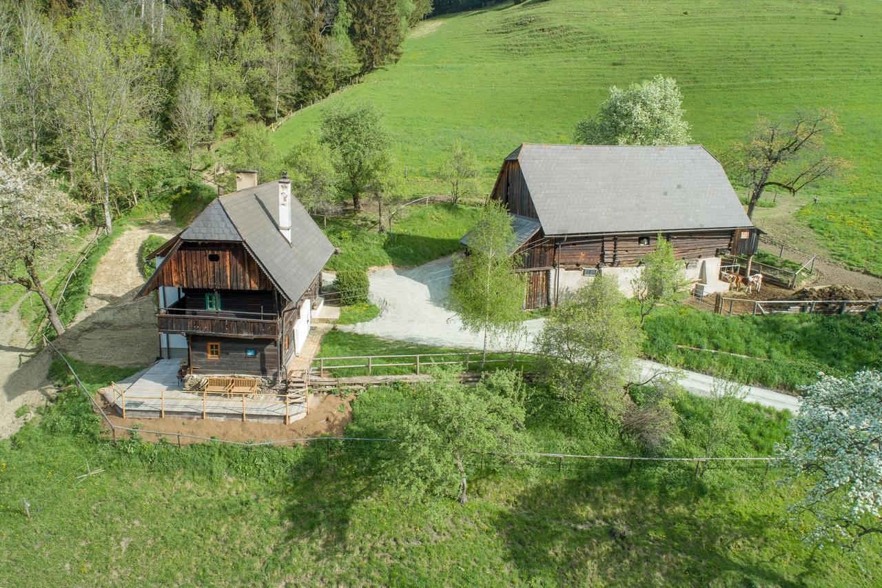 Urlaub Auf Der Alm "Deluxe" Vila Preggraben Exterior foto