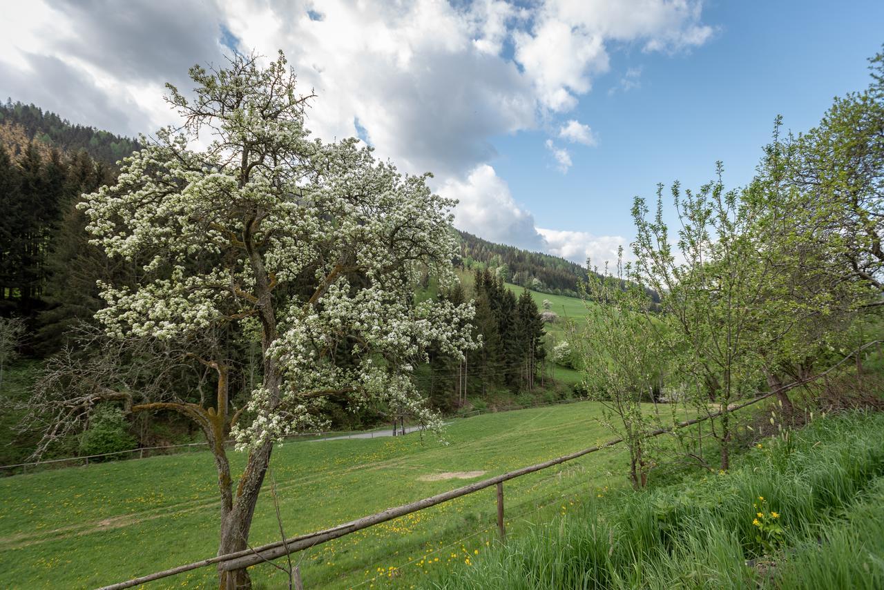 Urlaub Auf Der Alm "Deluxe" Vila Preggraben Exterior foto