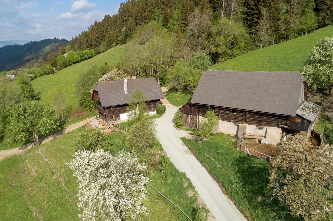 Urlaub Auf Der Alm "Deluxe" Vila Preggraben Exterior foto