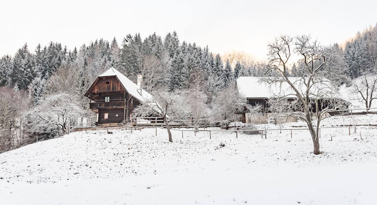 Urlaub Auf Der Alm "Deluxe" Vila Preggraben Exterior foto